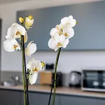 Apartamento Guesthost - Aregai Marina Exclusive Seaside
